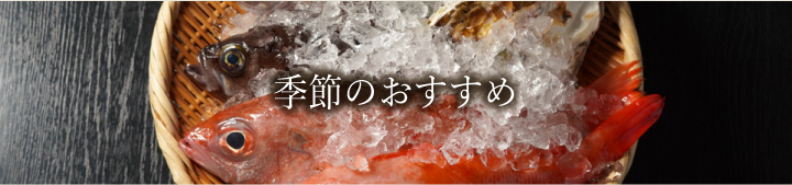 季節のおすすめ